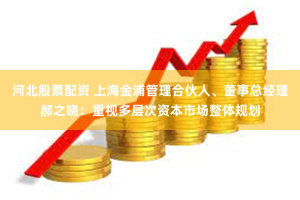 河北股票配资 上海金浦管理合伙人、董事总经理郝之晓：重视多层次资本市场整体规划