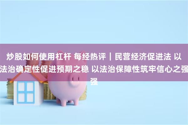 炒股如何使用杠杆 每经热评｜民营经济促进法 以法治确定性促进预期之稳 以法治保障性筑牢信心之强