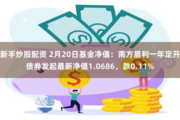 新手炒股配资 2月20日基金净值：南方晨利一年定开债券发起最新净值1.0686，跌0.11%