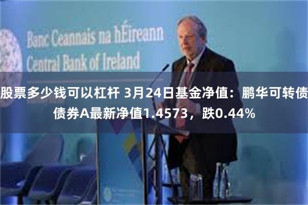 股票多少钱可以杠杆 3月24日基金净值：鹏华可转债债券A最新净值1.4573，跌0.44%