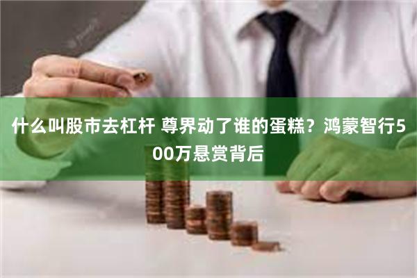 什么叫股市去杠杆 尊界动了谁的蛋糕？鸿蒙智行500万悬赏背后