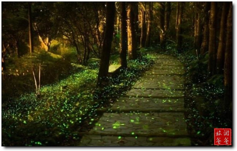 BJL平台|景甜新剧《火王》开播 首播实时四网第一(图3) BJL平台