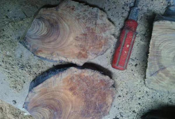 BJL平台-运营商装基站被投诉后再拆除,业主不满:110都打不出去了?(图3) BJL平台官网