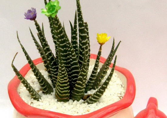 BJL平台:一张图看懂小米AIoT大会:2组核心数据+4项重磅合作(图2) BJL平台