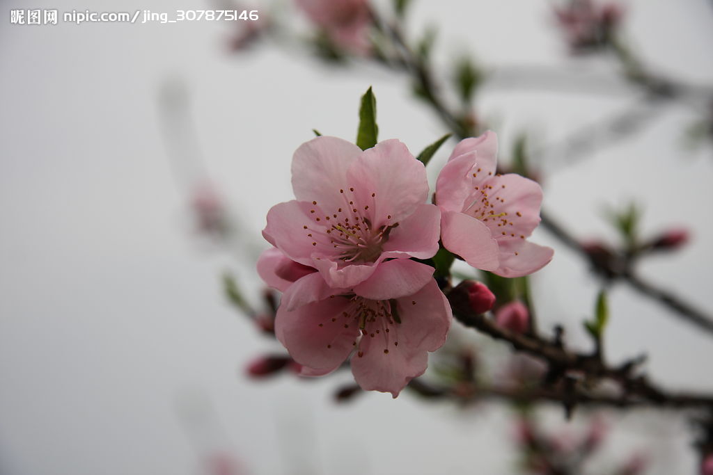 阿里首次公开量子通信技术:应用于云计算服务【BJL平台】(图2) BJL平台官网