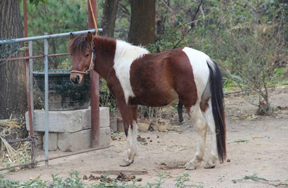 BJL平台:新版流星花园哪里可以看 每周几更新?更新几集(图3) BJL平台